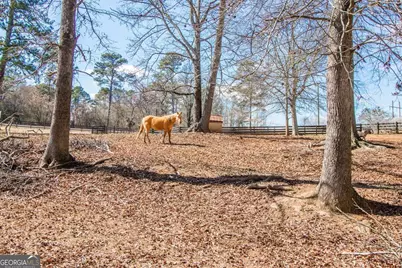 4302 Franklin Goldmine Road, Cumming, GA 30028 - Photo 43