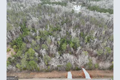 177 Rock Creek Road, Flovilla, GA 30216 - Photo 3