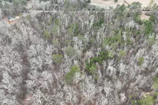 183 Rock Creek Rd, Flovilla, GA 30216 - Photo 5