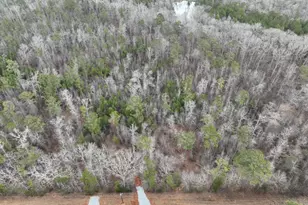 183 Rock Creek Rd, Flovilla, GA 30216 - Photo 3