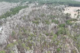 183 Rock Creek Rd, Flovilla, GA 30216 - Photo 7