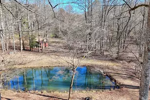 2761 Germany Rd, Clayton, GA 30525 - Photo 63