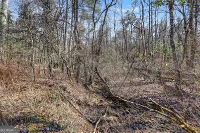 2761 Germany Road, Clayton, GA 30525 - Photo 55