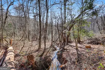 2761 Germany Road, Clayton, GA 30525 - Photo 51