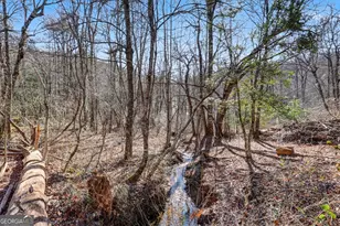 2761 Germany Rd, Clayton, GA 30525 - Photo 51