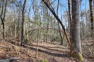 2761 Germany Rd, Clayton, GA 30525 - Photo 57