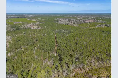 Tract 1 - 12321 Highway 185, Saint George, GA 31562 - Photo 13