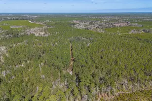 Tract 1 - 12321 Hwy 185, Saint George, GA 31562 - Photo 13