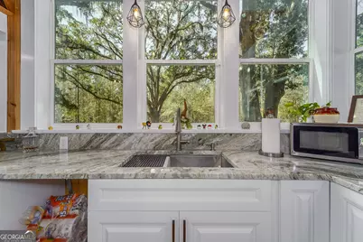 Tract 1 - 12321 Highway 185, Saint George, GA 31562 - Photo 27