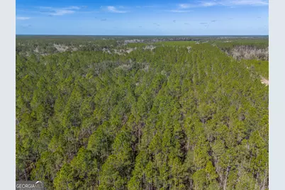 Tract 1 - 12321 Highway 185, Saint George, GA 31562 - Photo 3