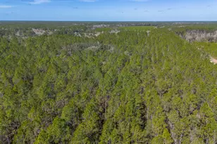 Tract 1 - 12321 Hwy 185, Saint George, GA 31562 - Photo 3