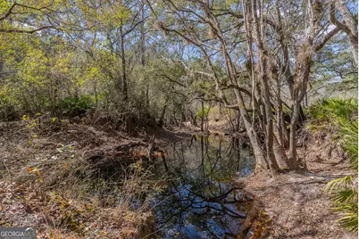 Tract 1 - 12321 Highway 185, Saint George, GA 31562 - Photo 43