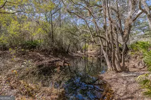 Tract 1 - 12321 Hwy 185, Saint George, GA 31562 - Photo 43