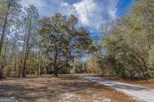 Tract 1 - 12321 Hwy 185, Saint George, GA 31562 - Photo 21