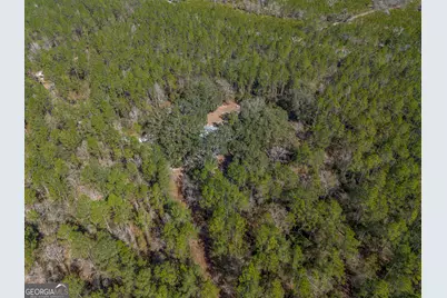 Tract 1 - 12321 Highway 185, Saint George, GA 31562 - Photo 15