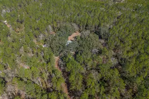 Tract 1 - 12321 Hwy 185, Saint George, GA 31562 - Photo 15