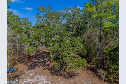 Tract 1 - 12321 Highway 185, Saint George, GA 31562 - Photo 19