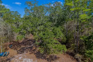 Tract 1 - 12321 Hwy 185, Saint George, GA 31562 - Photo 19