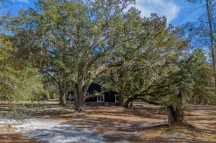 Tract 1 - 12321 Hwy 185, Saint George, GA 31562 - Photo 21