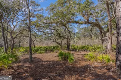 Tract 1 - 12321 Highway 185, Saint George, GA 31562 - Photo 45