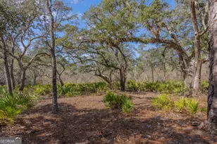 Tract 1 - 12321 Hwy 185, Saint George, GA 31562 - Photo 45