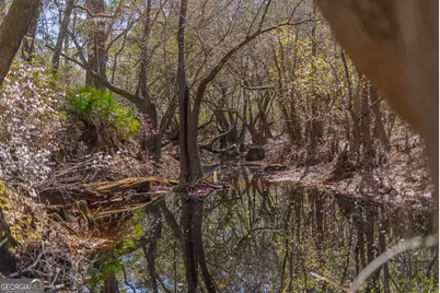 Tract 1 - 12321 Highway 185, Saint George, GA 31562 - Photo 47