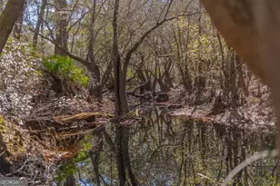 Tract 1 - 12321 Hwy 185, Saint George, GA 31562 - Photo 47