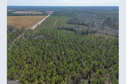 Tract 1 - 12321 Highway 185, Saint George, GA 31562 - Photo 5