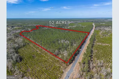 Tract 1 - 12321 Highway 185, Saint George, GA 31562 - Photo 11