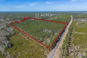 Tract 1 - 12321 Hwy 185, Saint George, GA 31562 - Photo 11