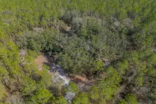 Tract 1 - 12321 Hwy 185, Saint George, GA 31562 - Photo 7