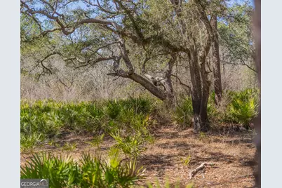 Tract 1 - 12321 Highway 185, Saint George, GA 31562 - Photo 49