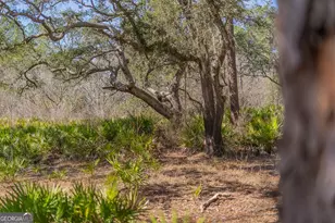 Tract 1 - 12321 Hwy 185, Saint George, GA 31562 - Photo 49