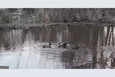 21 Jess Lane, Commerce, GA 30530 - Photo 37