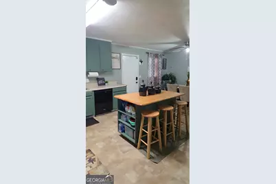 293 Williams Street NE, Pelham, GA 31779 - Photo 7