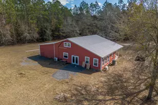 Tract 2 - 12321 Hwy 185, Saint George, GA 31562 - Photo 3