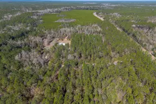 Tract 2 - 12321 Hwy 185, Saint George, GA 31562 - Photo 13