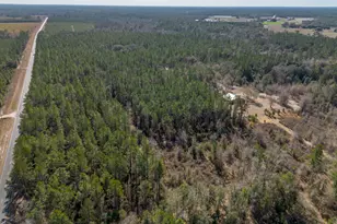 Tract 2 - 12321 Hwy 185, Saint George, GA 31562 - Photo 11