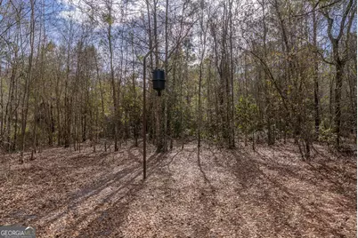 Tract 2 - 12321 Highway 185, Saint George, GA 31562 - Photo 15