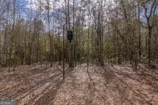 Tract 2 - 12321 Hwy 185, Saint George, GA 31562 - Photo 15