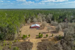 Tract 2 - 12321 Hwy 185, Saint George, GA 31562 - Photo 7