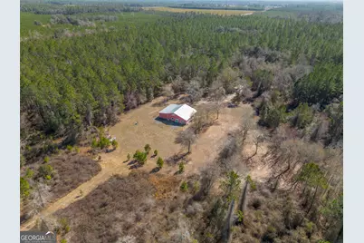 Tract 2 - 12321 Highway 185, Saint George, GA 31562 - Photo 7