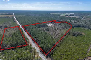 Tract 2 - 12321 Hwy 185, Saint George, GA 31562 - Photo 11
