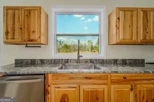 Tract 2 - 12321 Hwy 185, Saint George, GA 31562 - Photo 25