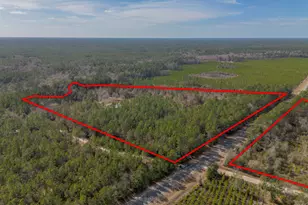 Tract 2 - 12321 Hwy 185, Saint George, GA 31562 - Photo 13