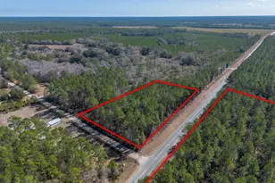 Tract 2 - 12321 Hwy 185, Saint George, GA 31562 - Photo 15