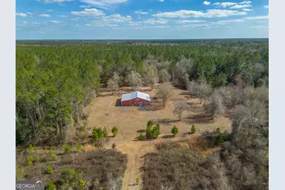 Tract 2 - 12321 Highway 185, Saint George, GA 31562 - Photo 1