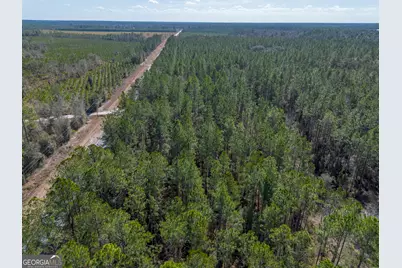 Tract 2 - 12321 Highway 185, Saint George, GA 31562 - Photo 11
