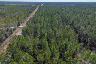 Tract 2 - 12321 Hwy 185, Saint George, GA 31562 - Photo 11