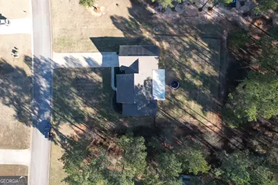 111 Needleleaf Court, Barnesville, GA 30204 - Photo 77